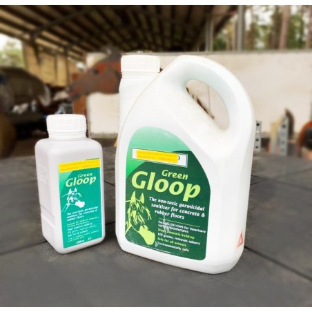 Green Gloop sanitizzante 400 ml