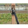Solo fibbia inox tenditore a T