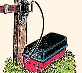 Connettore elettrificatore