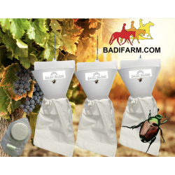 Trappola Popillia Japonica - set 3