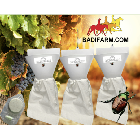 Trappola Popillia Japonica - set 3