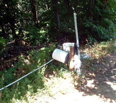 Badi_Farm_recinto_recinzione_elettrica_nastro_corda_filo_cinghiali_animali_selvatici_maiali_suini_proteggere_anti_intrusione_fauna_selvatica_cinghiali