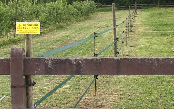 installazione_recinto_nastro_badifarm_verde.jpg