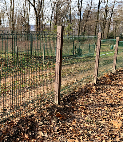 rete metallica bf_4.png