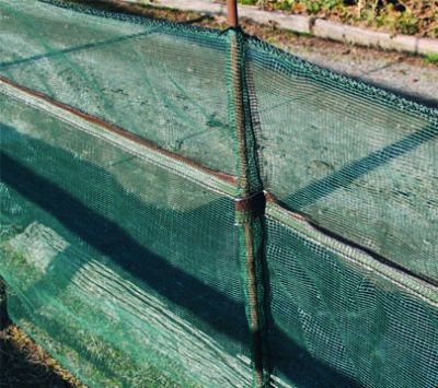 Badi_farm_recinti_rete_nastro_elettrico_elettrificato_lumache_elicicoltura