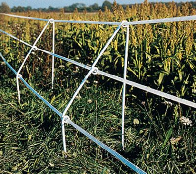 Badi_Farm_recinto_recinzione_elettrica_nastro_corda_filo_cinghiali_animali_selvatici_maiali_suini_proteggere_anti_intrusione_fauna_selvatica_cinghiali