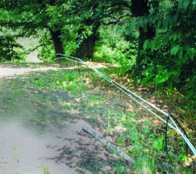 Badi_Farm_recinto_recinzione_elettrica_nastro_corda_filo_cinghiali_animali_selvatici_maiali_suini_proteggere_anti_intrusione_fauna_selvatica_cinghiali