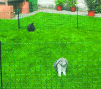 Badi_farm_recinti_rete_nastro_polli_galline_conigli_cavalli_bovini_cani_selvatici_nastro_recinto_corda_elettrico_elettrificata_tappeti_gomma_box_scuderie_paddock_mangiatoie_abbeveratoi_fieno_recinzione_rete