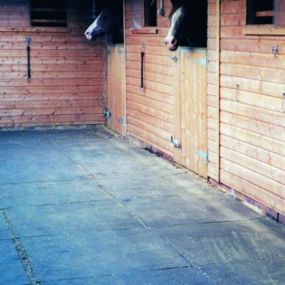 Badi_farm_tappeti_gomma_pavimenti_box_cuccia_cavallo_cane_lastra_allevamento_vulcanizzata_scuderia_stalla