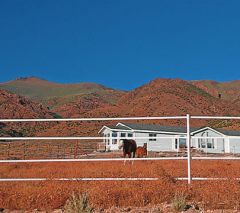 Badi_farm_nastro_recinto_elettrico_cavalli_isolatori_corda_banda_recinzione_allevamento_scuderia_paddock