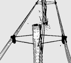 Badi_farm_nastro_recinto_elettrico_cavalli_isolatori_corda_banda_recinzione_allevamento_scuderia_paddock
