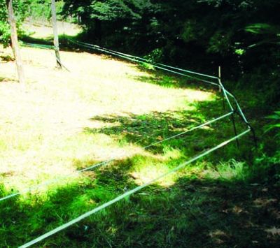 Badi_Farm_recinto_recinzione_elettrica_nastro_corda_filo_cinghiali_animali_selvatici_maiali_suini_proteggere_anti_intrusione_fauna_selvatica_cinghiali