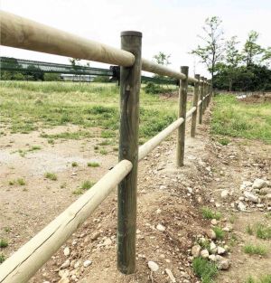 badi farm tondo12-14_5.jpg