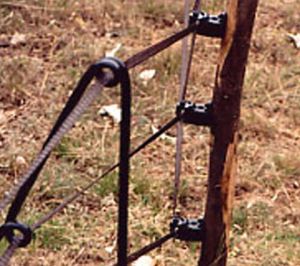 Badi_Farm_recinto_recinzione_elettrica_nastro_corda_filo_cinghiali_animali_selvatici_maiali_suini_proteggere_anti_intrusione_fauna_selvatica_cinghiali