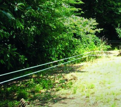 Badi_Farm_recinto_recinzione_elettrica_nastro_corda_filo_cinghiali_animali_selvatici_maiali_suini_proteggere_anti_intrusione_fauna_selvatica_cinghiali