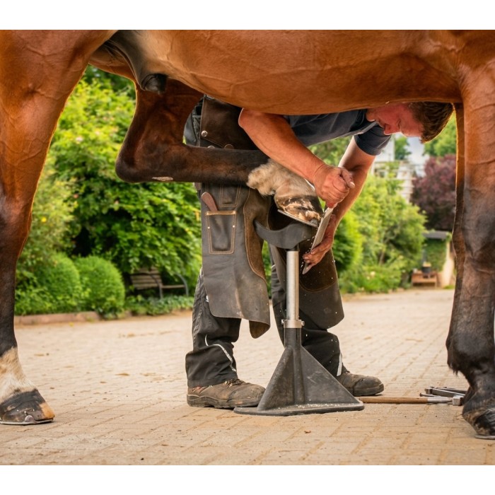 Cavalletto per la cura dello zoccolo - Badifarm