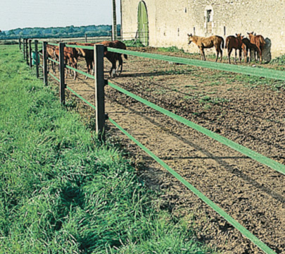 nastro-colori_verde.jpg