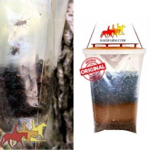 trappole per mosche