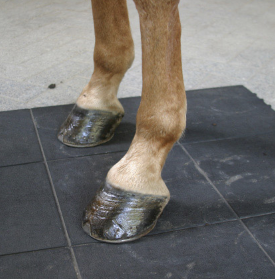 Pavimenti con tappeti in gomma