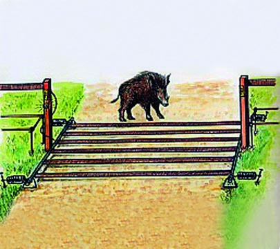 Esempio Road Gate