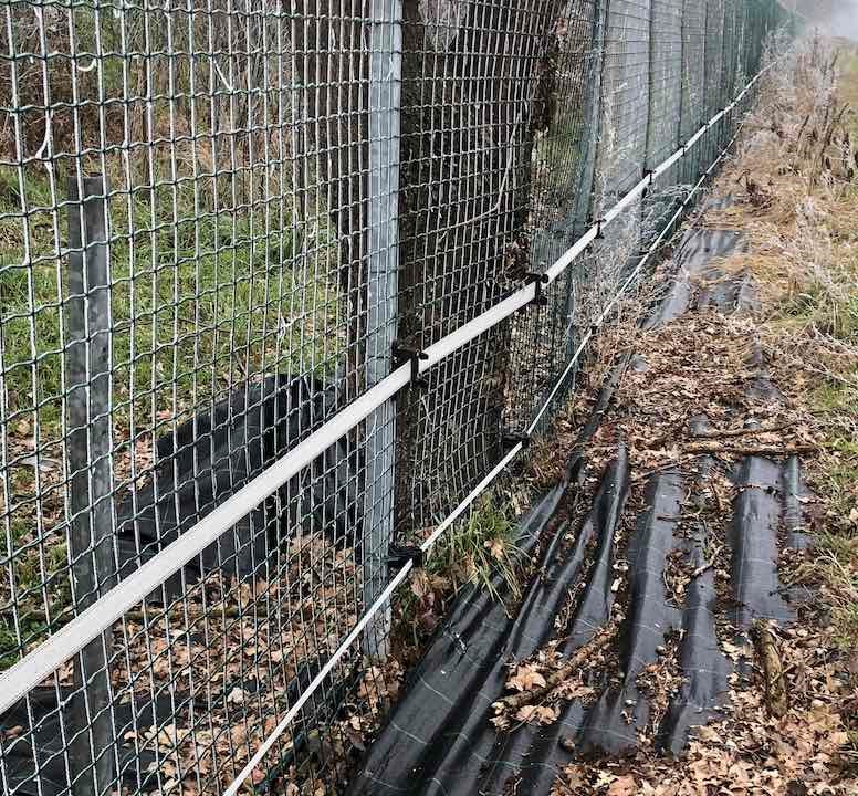 Bio-sicurezza applicazione 4