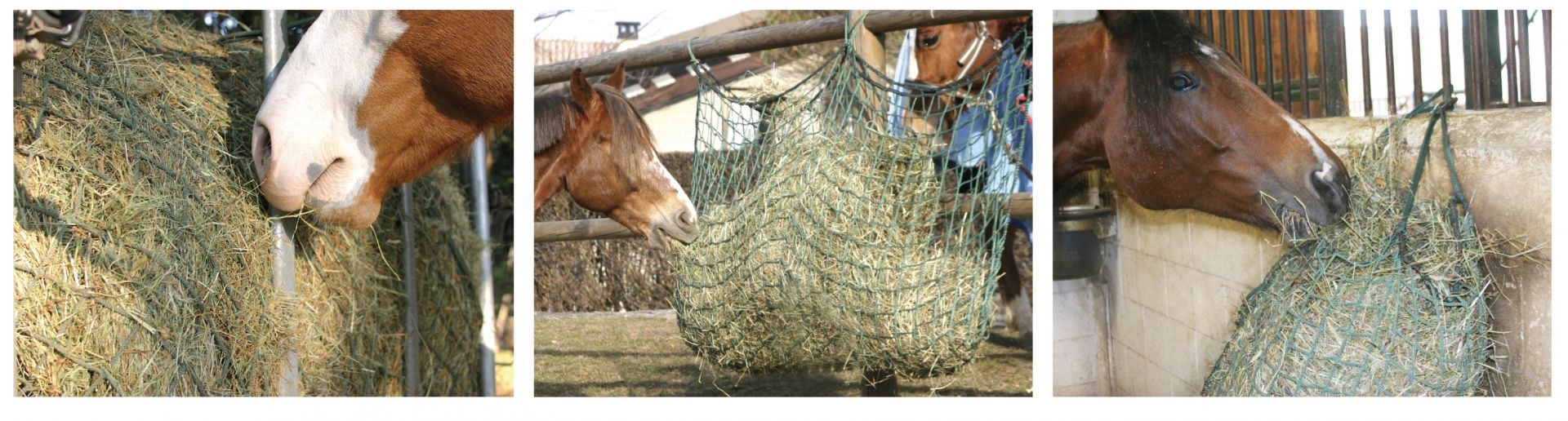 Le reti antispreco Badi Farm