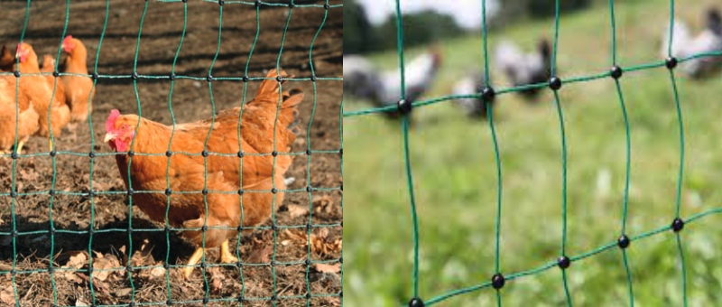 Reti elettrificate per piccoli animali