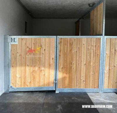 Dettaglio frontale 6