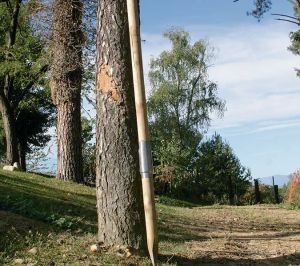 Paletti in legno