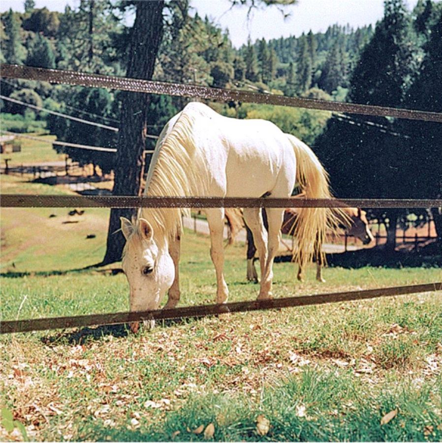 Esempio recinto