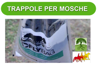 Trappole Fly Trap
