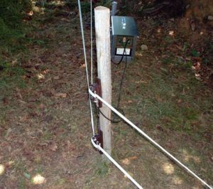 Esempio Parco Abruzzi 4