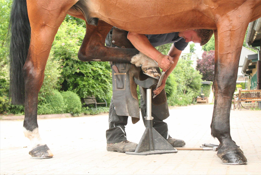 Dettaglio Hoof Stand 1