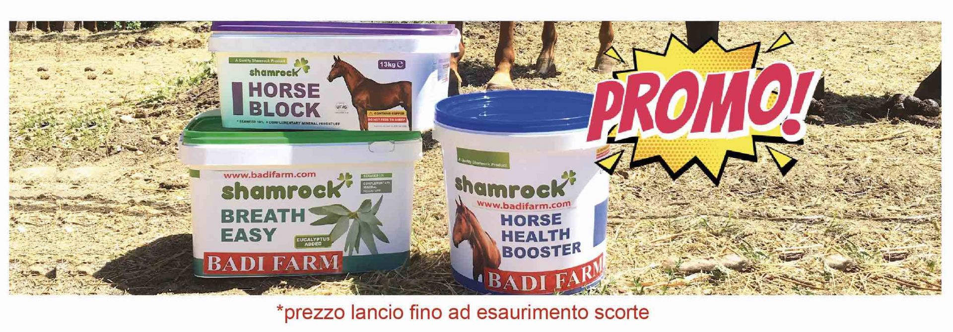 Integratori naturali per cavalli