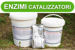 Enzimi Catalizzatori lettiera