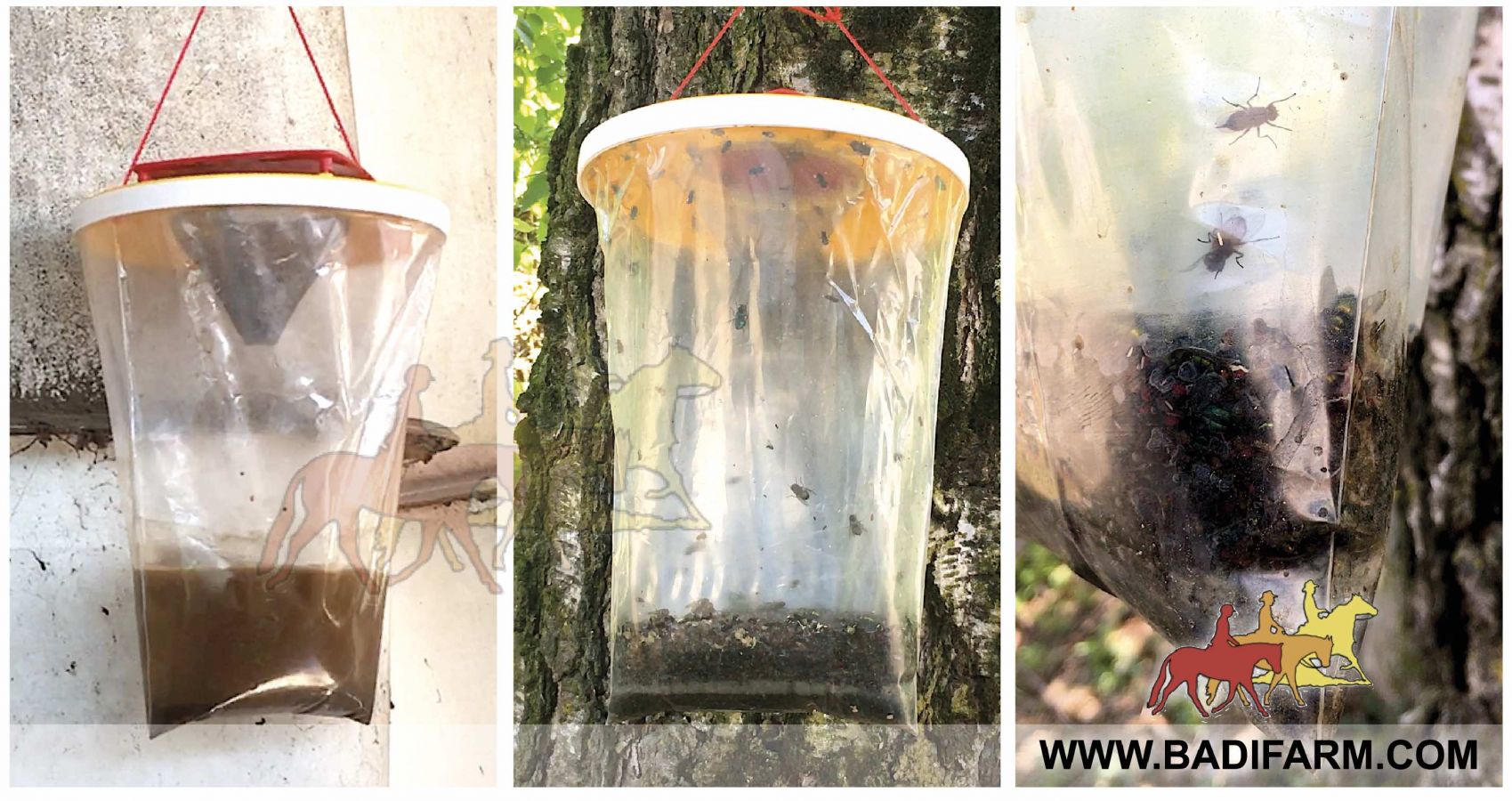 Trappola per mosche Fly-Trap