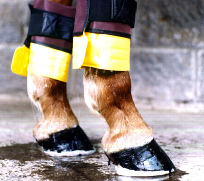Dettaglio informazioni Water Flow