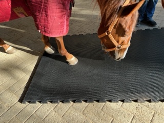 Dettaglio MAT2XL 1