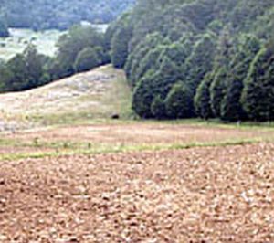 Esempio Parco Abruzzi 1