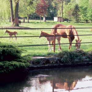 Installazione Badi Farm