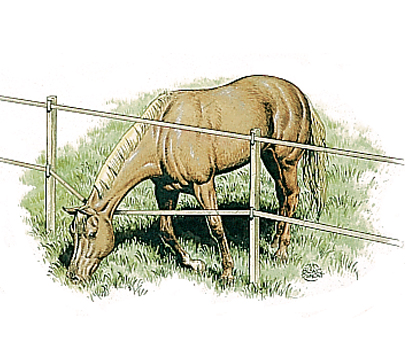 Nastro sporco o ragnatele