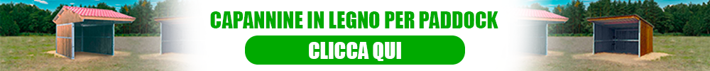 Planimetria o dettaglio finestre